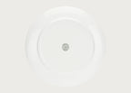 Dintorno Porcelain Dinner Plate