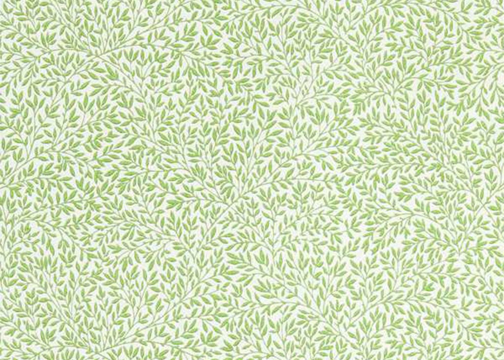 Standen Wallpaper