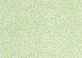 Standen Wallpaper