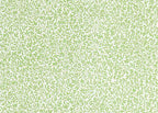 Standen Wallpaper