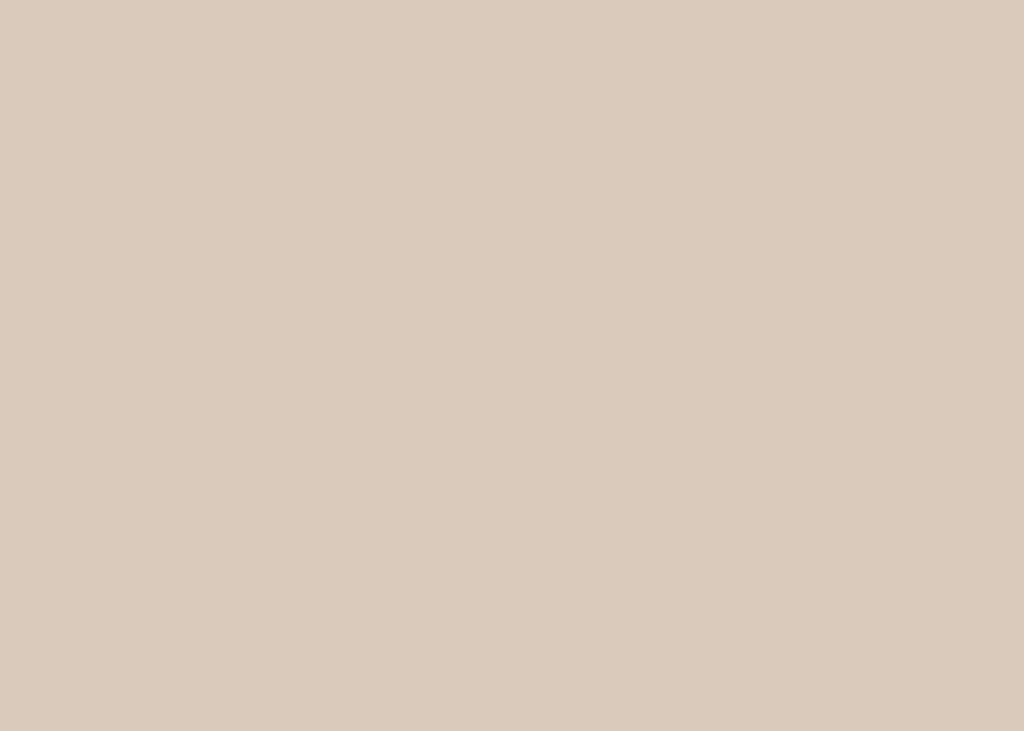 Mushroom Grey Paint