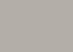 Grey Squirrel Paint
