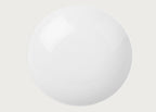 Thomas Loft White Porcelain Pasta Bowl