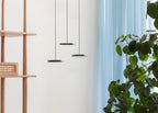 Asteria LED Micro Cluster Pendant Black