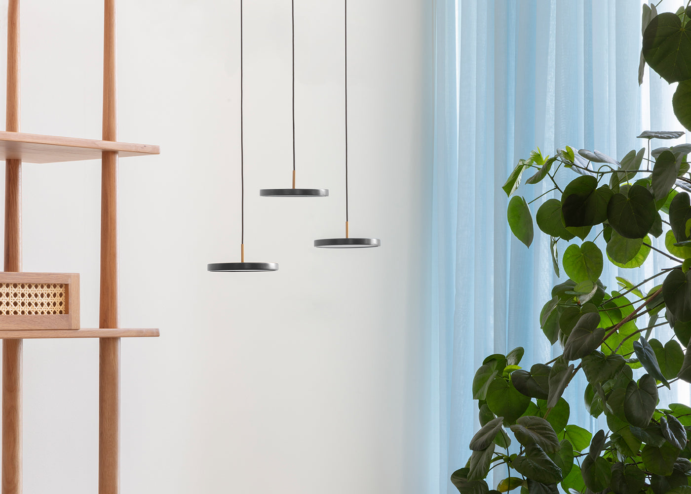 Asteria LED Micro Cluster Pendant Black