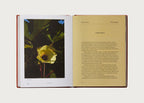 Edible Flowers: How, Why, and When We Eat Flowers