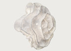 Nevo Wall Light