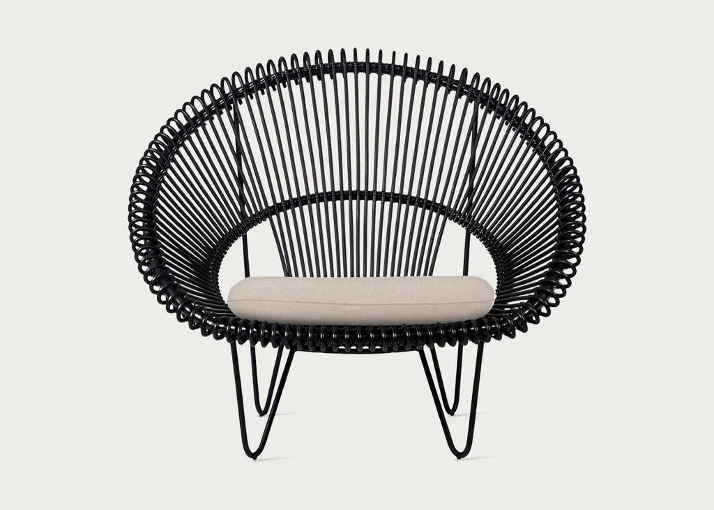 Roy Cocoon Chair