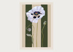 Limited Edition Poppy Print