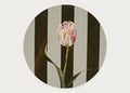 Heal’s + Nay Bellamy Striped Tulip Placemat