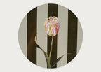 Heal’s + Nay Bellamy Striped Tulip Placemat