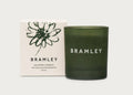 Calming Candle