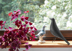 Eames House Bird