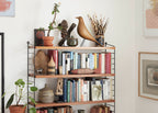 Eames House Bird