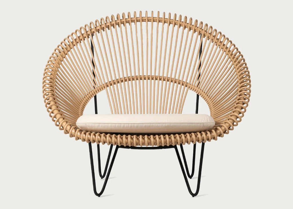 Roy Cocoon Chair
