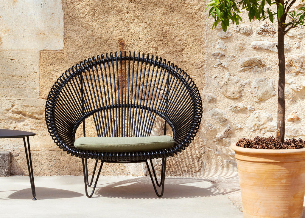 Roy Cocoon Chair
