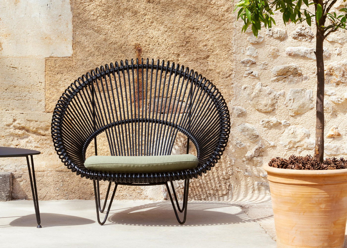 Roy Cocoon Chair