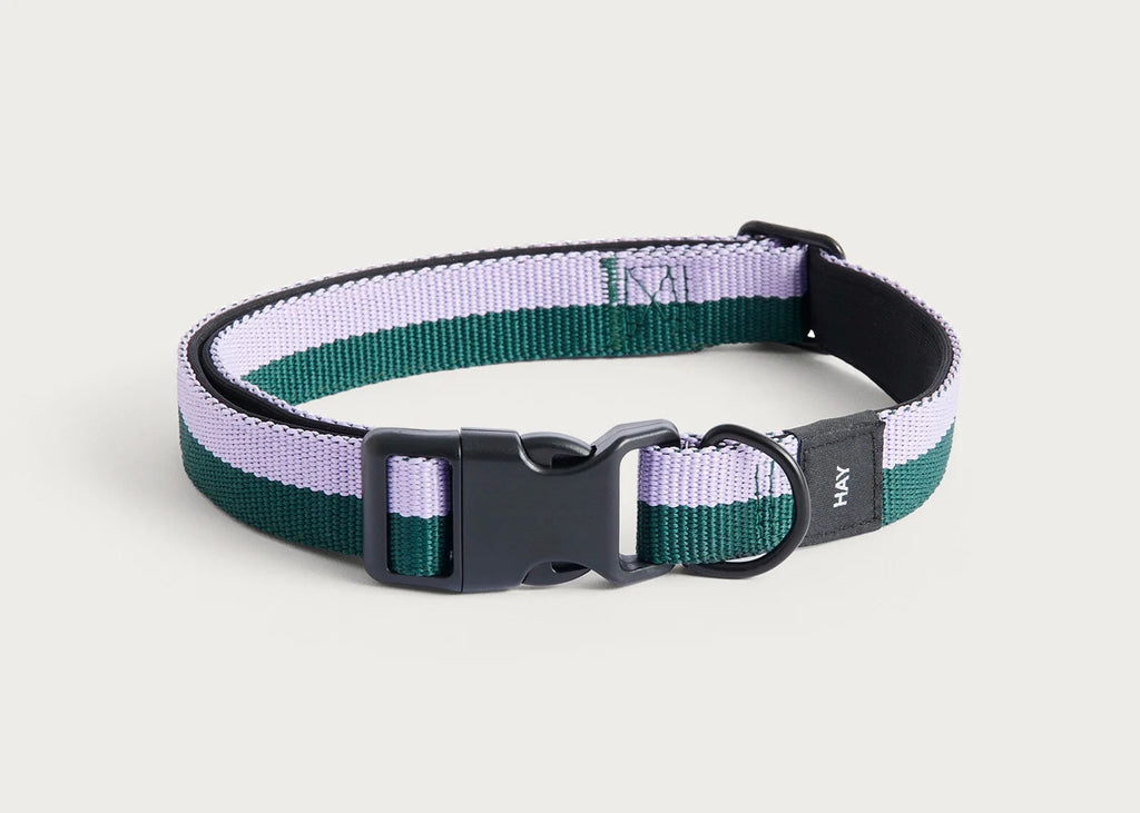 HAY Dog Collar Flat