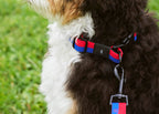 HAY Dog Collar Flat