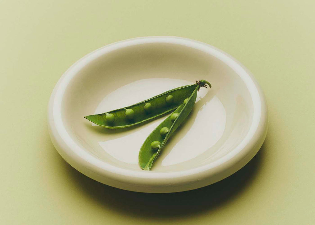 Barro Bowl Set of 2