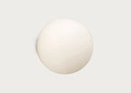Dioscuri Wall/Ceiling Light