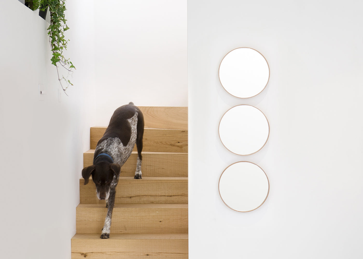 Glance Round Wooden Mirror