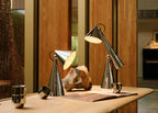 Pose LED Portable Table Lamp