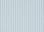 New Tiger Stripe Wallpaper