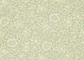 Mallow Wallpaper