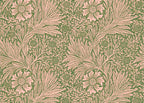 Marigold Wallpaper