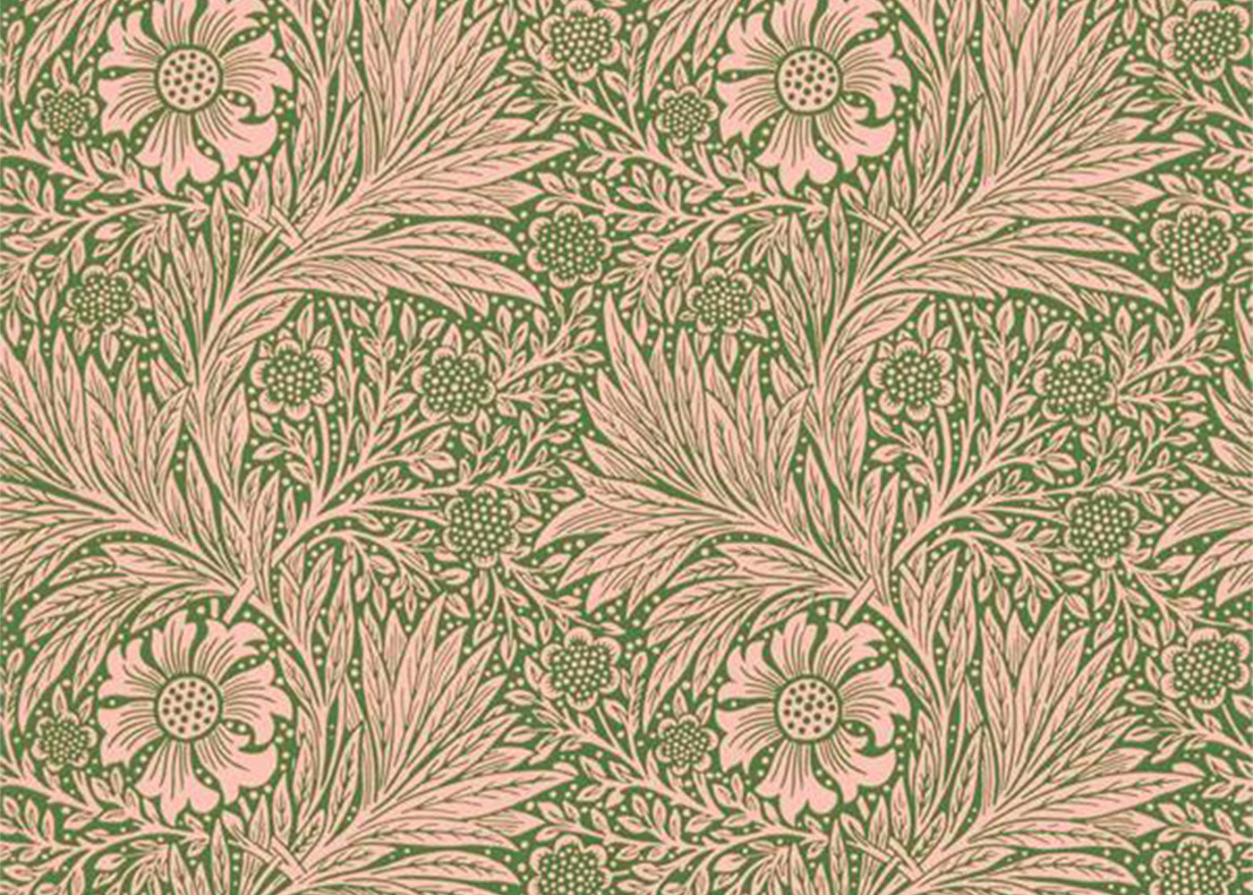 Marigold Wallpaper