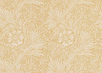 Marigold Wallpaper