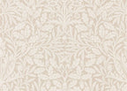 Pure Acorn Wallpaper