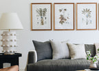 Linden Table Lamp