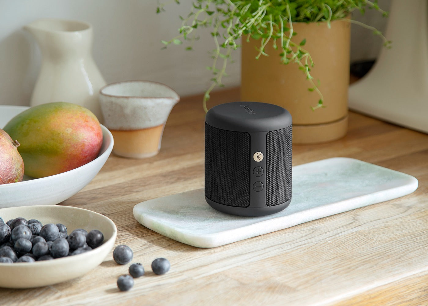 Karl Speaker