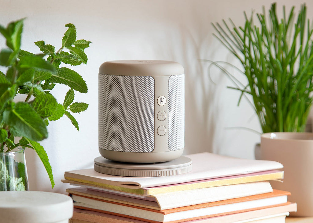 Karl Speaker